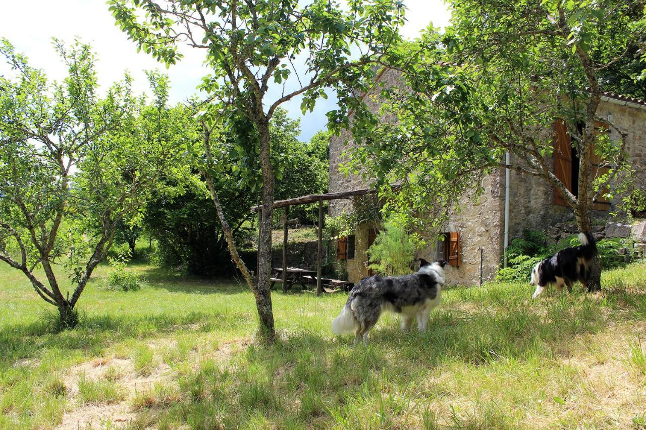 Maison De Vignes De Tournemire Tournemire (Aveyron) Exterior foto