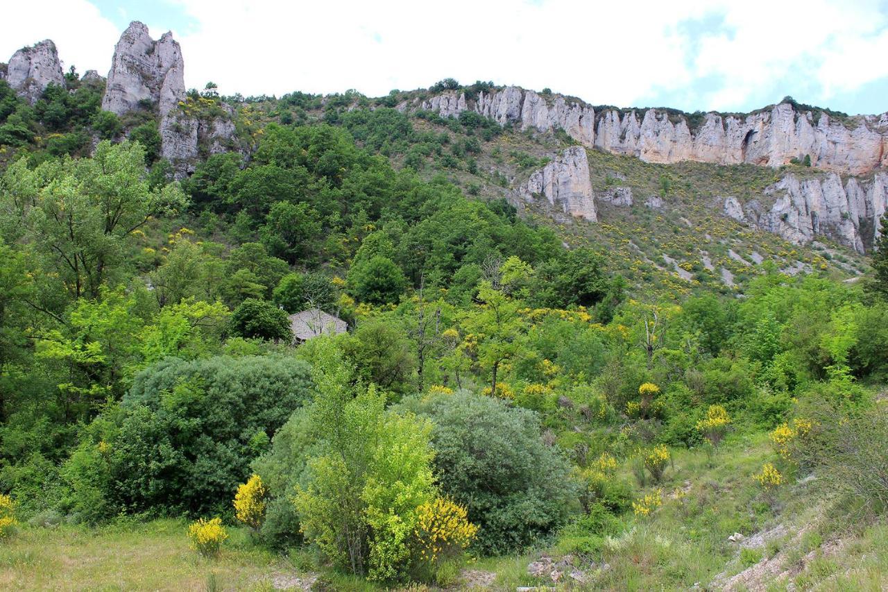 Maison De Vignes De Tournemire Tournemire (Aveyron) Exterior foto
