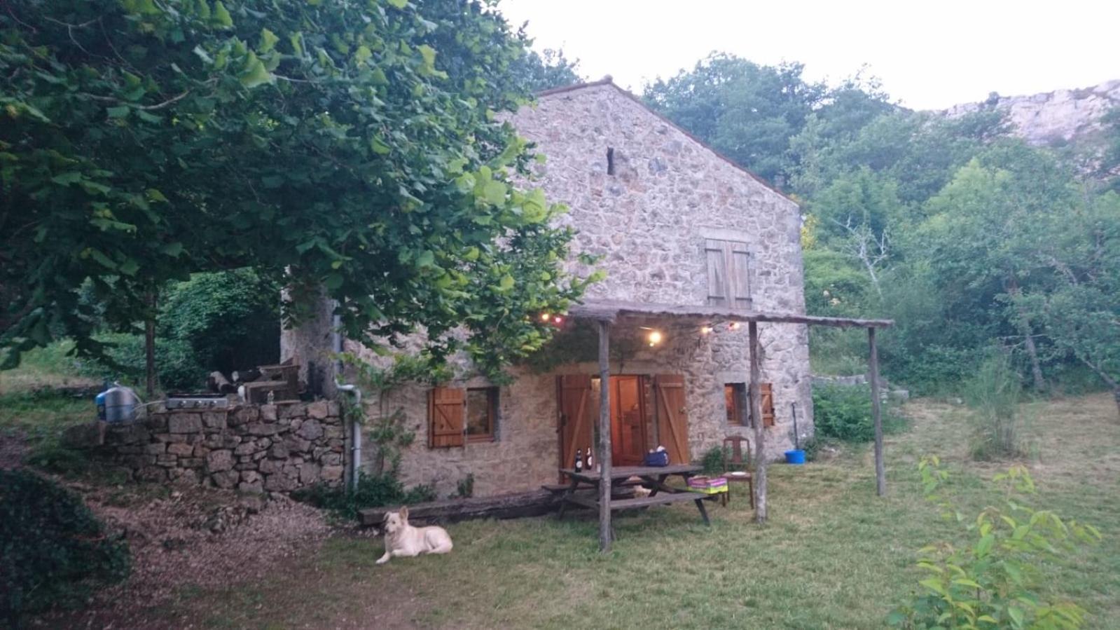 Maison De Vignes De Tournemire Tournemire (Aveyron) Exterior foto